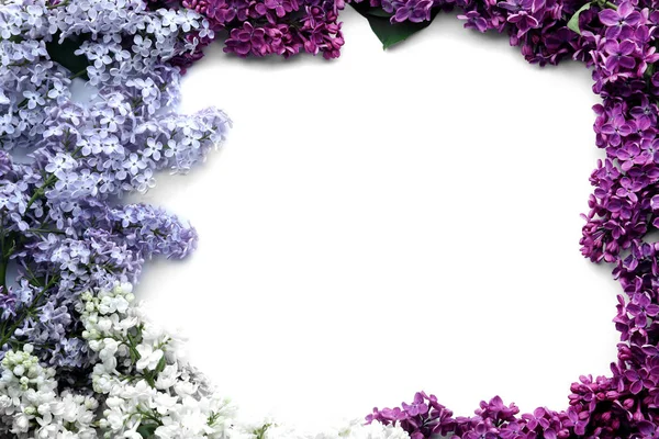 Beyaz arka plan üzerinde çiçek açması leylak çerçeve yapılmış