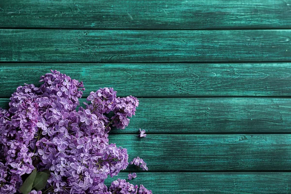 Beautiful Blossoming Lilac Color Wooden Background — Stock Photo, Image