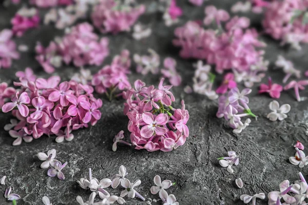 Vackra Blommande Syren Grå Bakgrund — Stockfoto