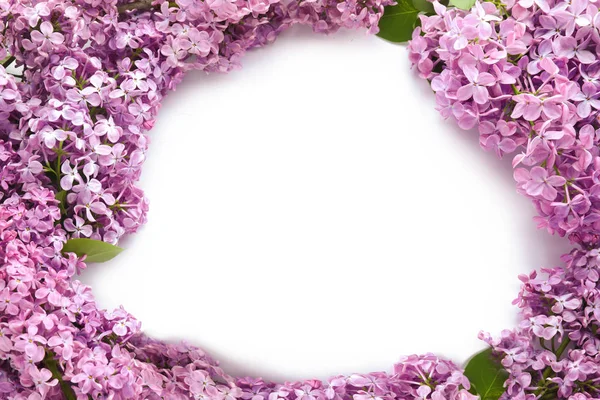 Frame Made Beautiful Blossoming Lilac White Background — Stock Photo, Image