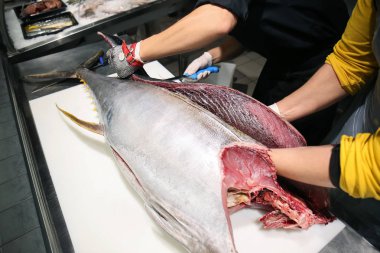 Erkekler ile taze orkinos balık pazarında masada çalışma