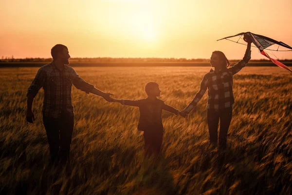 Gün Batımında Alanındaki Mutlu Aile Uçan Uçurtma — Stok fotoğraf