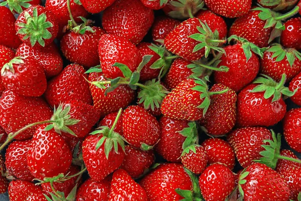 许多多汁成熟的草莓 — 图库照片