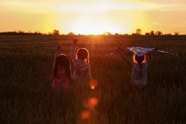 Słodkie Małe Dziewczynki Latawiec Polu Zachodzie Słońca — Zdjęcie stockowe