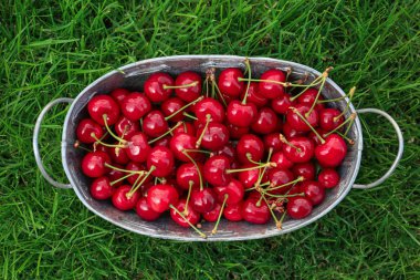 Yeşil çimenlerin üzerinde tatlı olgun kiraz sepetle