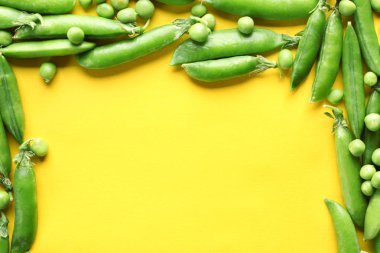 Renk arka plan üzerinde taze yeşil bezelye