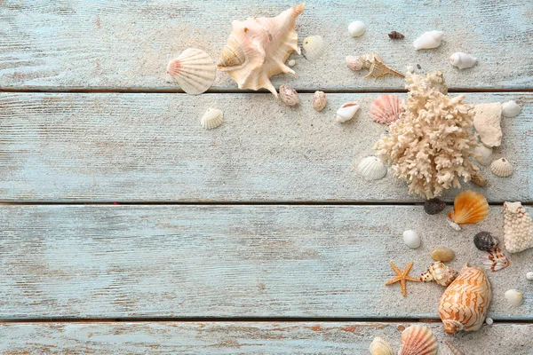 Composition Seashells Light Wooden Background — Stock Photo, Image