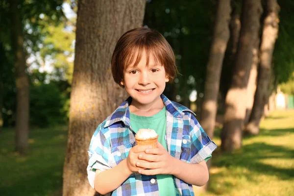 Χαριτωμένο Μικρό Αγόρι Παγωτό Στο Πάρκο Ηλιόλουστη Ημέρα — Φωτογραφία Αρχείου