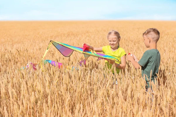 Cute Little Children Kite Wheat Field Sunny Day — Stock Photo, Image