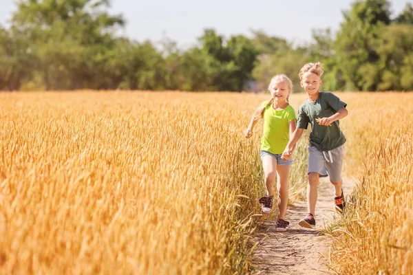 晴れた日の麦畑に実行してかわいい子供たち — ストック写真