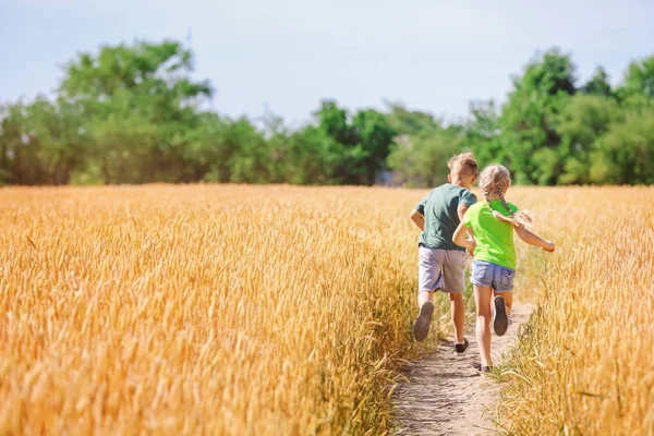 晴れた日の麦畑に実行してかわいい子供たち — ストック写真