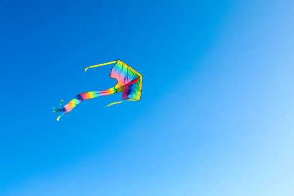 Beautiful Kite Flying Blue Sky — Stock Photo, Image