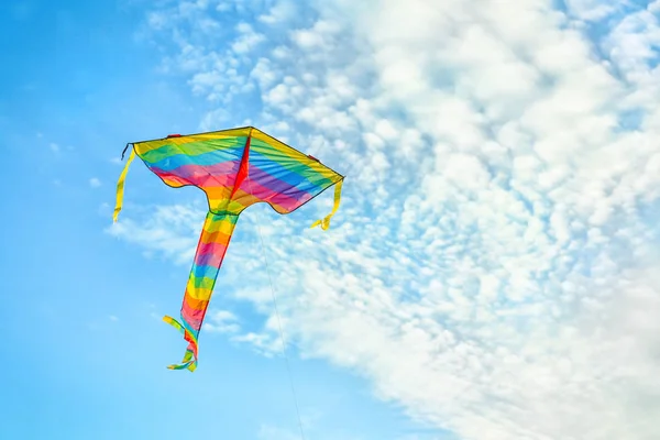 Beautiful Kite Flying Blue Sky — Stock Photo, Image