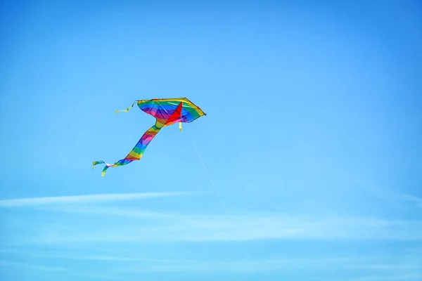 Beautiful Kite Flying Blue Sky — Stock Photo, Image