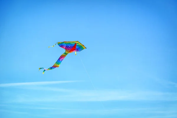 Pipa Bonita Voando Céu Azul — Fotografia de Stock