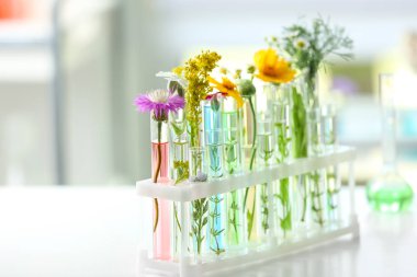 Test tüpleri ile bitkiler üzerinde arka plan bulanık tutucu