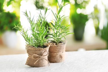 Tablo arka plan bulanık karşı taze biberiye ile tencere