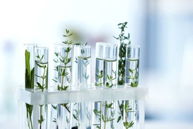 Test tüpleri ile bitkiler üzerinde arka plan bulanık tutucu