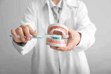 Çene modeli ve açık renkli, closeup üzerinde diş fırçası diş hekimi