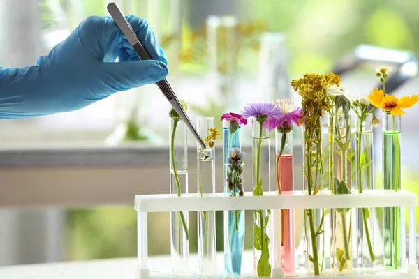 Scientist Working Samples Plants Laboratory — Stock Photo, Image