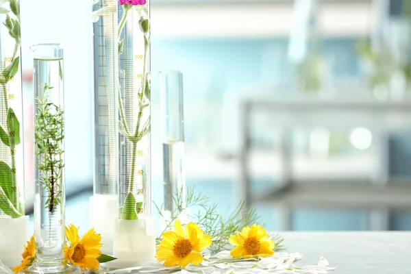 Tubos Ensayo Con Plantas Flores Sobre Mesa Laboratorio — Foto de Stock