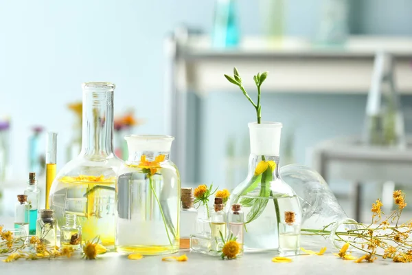 Virágok Víz Laboratóriumi Asztalon Laboratóriumi Üvegeszközök — Stock Fotó