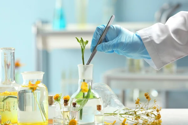 Scientist Working Plants Laboratory — Stock Photo, Image