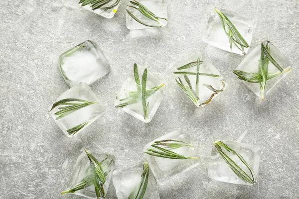 Rosemary Frozen Ice Cubes Light Grey Background — Stock Photo, Image