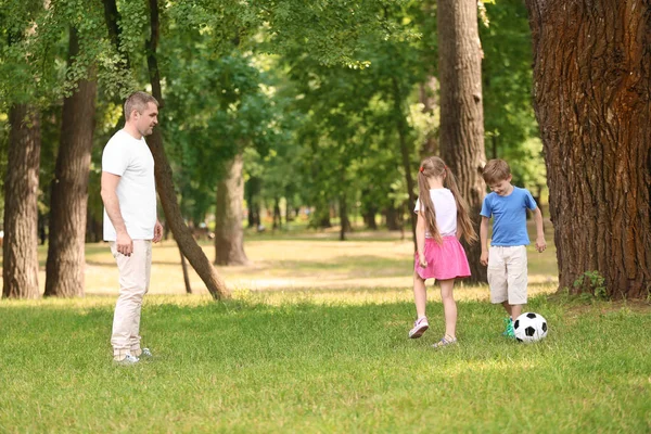 Šťastná Rodina Hraje Fotbal Parku Letním Dni — Stock fotografie