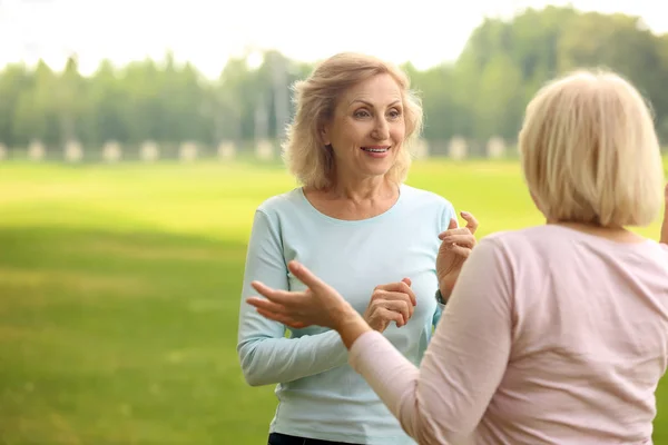 Mature Women Talking Outdoors Summer Day — Stock Photo, Image