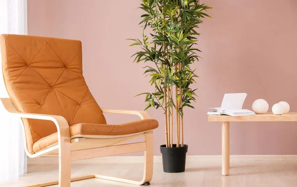 Comfortable Armchair Table Plant Color Wall Interior Living Room — Stock Photo, Image