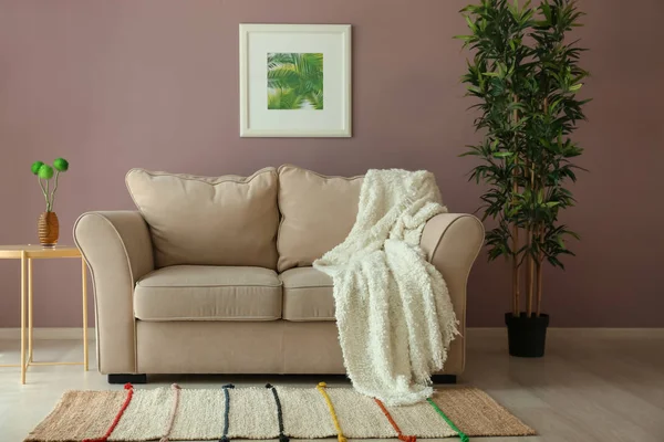 Bequemes Sofa Der Nähe Der Farbwand Wohnzimmer — Stockfoto