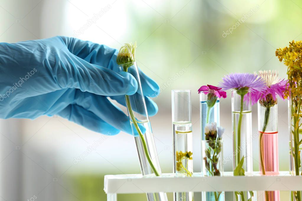 Laboratory worker taking test tube with plant, closeup