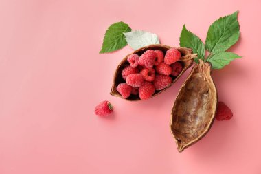 Renk arka plan üzerinde olgunlaşmış kokulu ahududu ile kakao pod