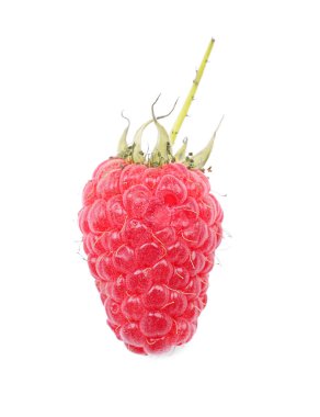 Beyaz arka planda taze olgun ahududu.