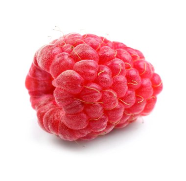 Beyaz arka planda taze olgun ahududu.