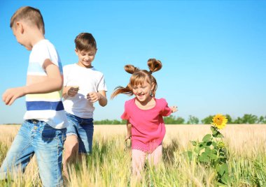 Sevimli küçük çocuklar güneşli buğday alanında