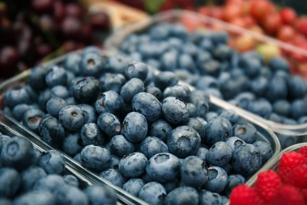 Market, closeup olgun blueberry ile konteyner