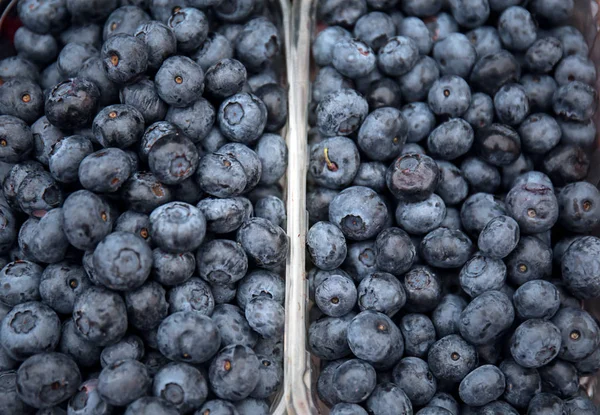Containers Ripe Blueberry Market Closeup — Stock Photo, Image