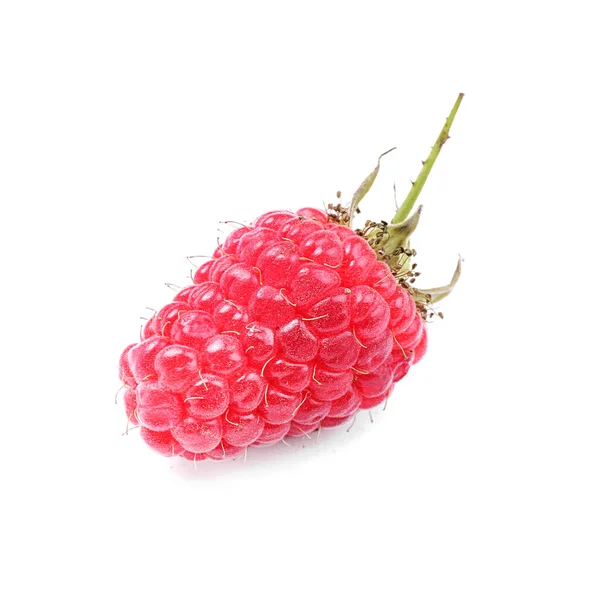 Raspberry Segar Matang Pada Latar Belakang Putih — Stok Foto
