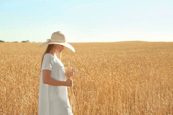 Krásná Žena Klásky Pšenice Poli Slunečný Den — Stock fotografie