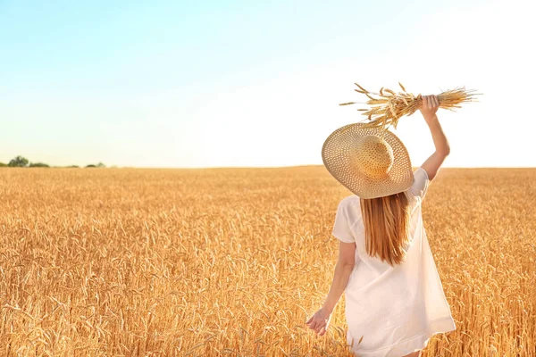 Buğday Spikelets Alanında Güneşli Güzel Bir Kadınla — Stok fotoğraf