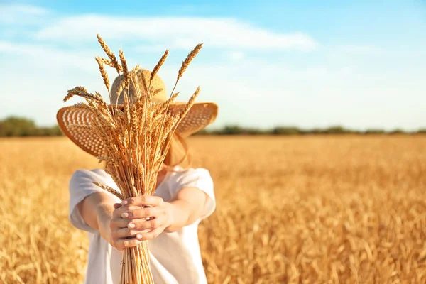 Beautiful Woman Wheat Spikelets Field Sunny Day — Stock Photo, Image