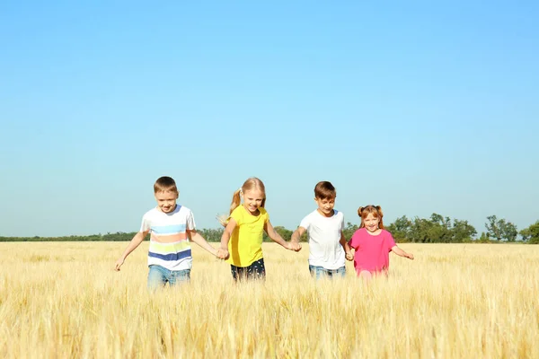 Милые Маленькие Дети Играют Пшеничном Поле Солнечный День — стоковое фото