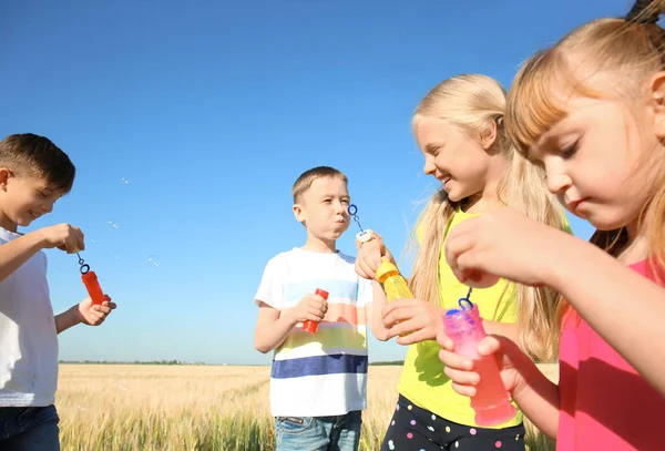 Cute Little Children Blowing Soap Bubbles Wheat Field Sunny Day — Stock Photo, Image