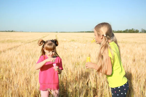 Cute Little Girls Blowing Soap Bubbles Wheat Field Sunny Day — Stock Photo, Image