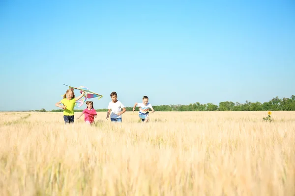 Bambini Piccoli Carini Con Aquilone Campo Nella Giornata Sole — Foto Stock