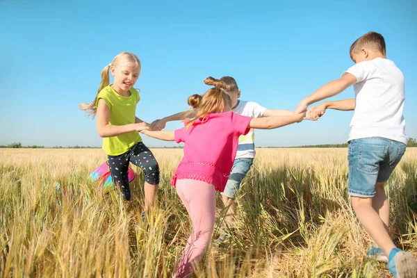 Niedliche Kleine Kinder Spielen Sonnigen Tag Weizenfeld — Stockfoto