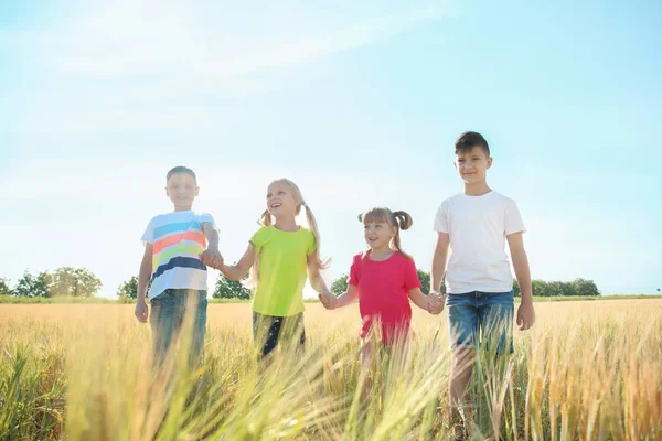 Cute Little Children Holding Hands Wheat Field Sunny Day — Stock Photo, Image