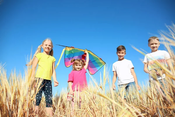 Cute Little Children Kite Field Sunny Day — Stock Photo, Image